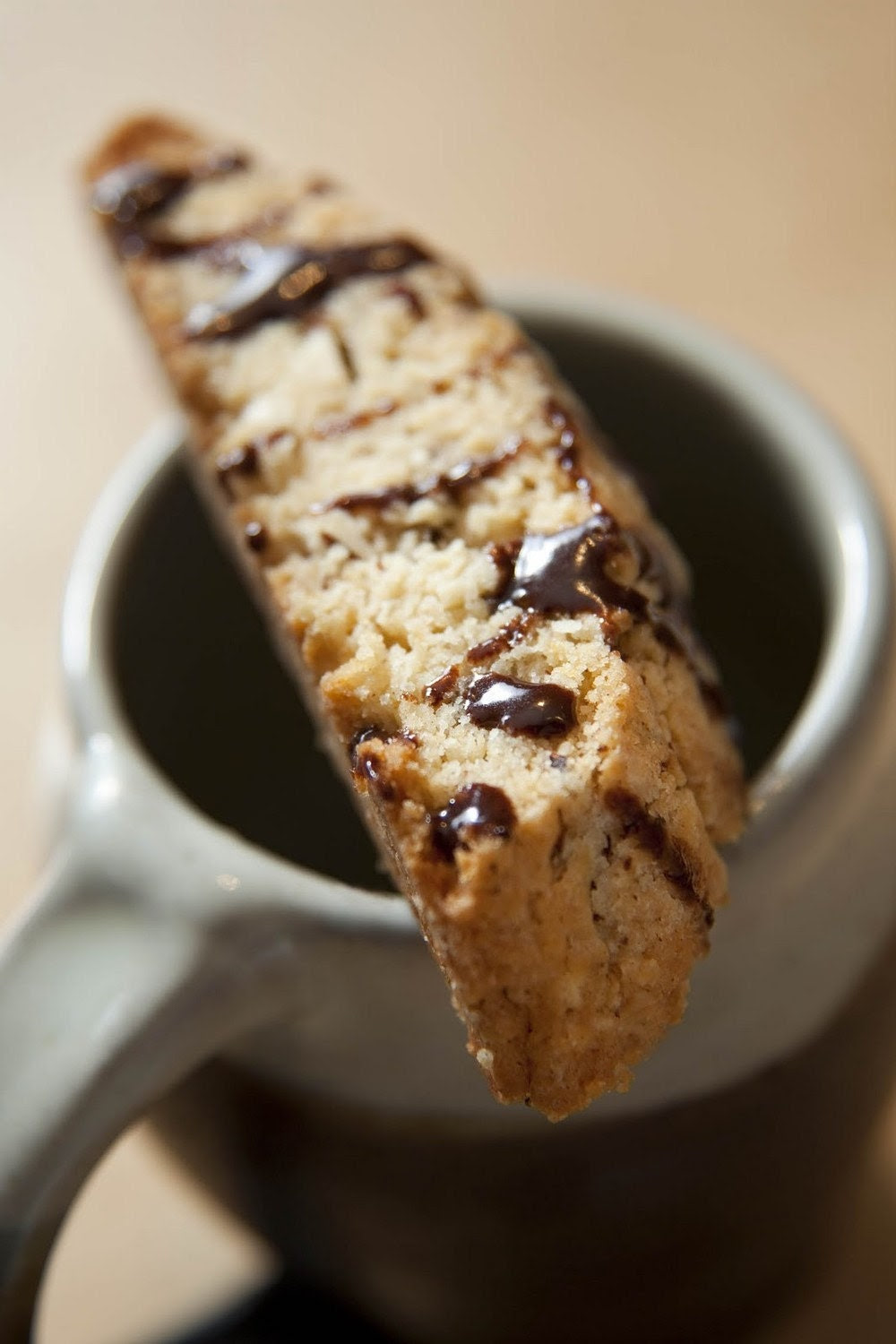 Organic Hazelnut and Chocolate Biscotti