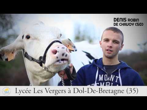 Après des heures de travail... Notre vidéo !!