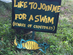 Safe Swimming Sign