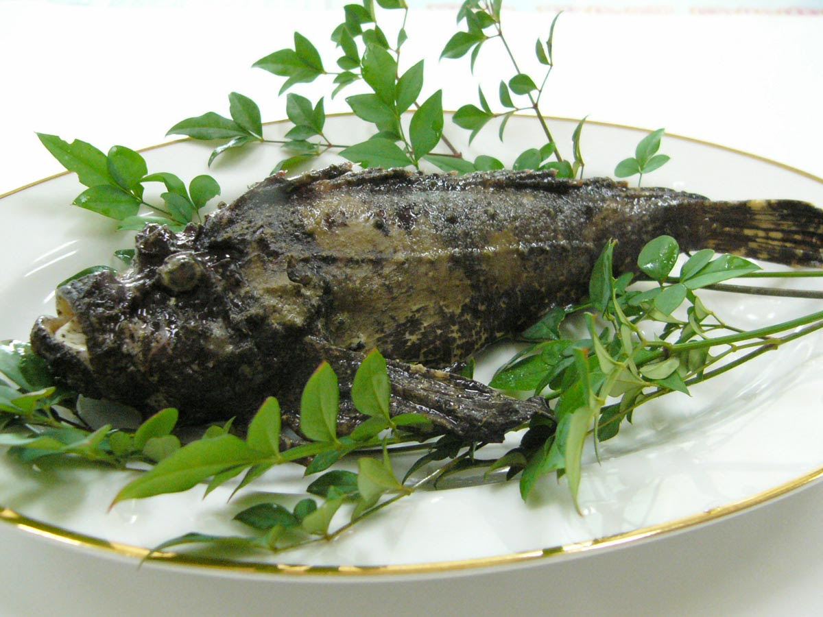 オコゼ Jf岩城生名 岩城生名漁業協同組合