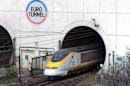 Un Eurostar sort de l'Eurotunnel, le tunnel sous la Manche, entre la France et le Royaume-uni, le 10 avril 2014 à Coquelles (Pas-de-Calais)