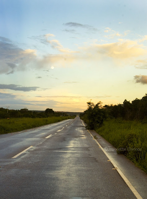 Largo Camino a casa...
