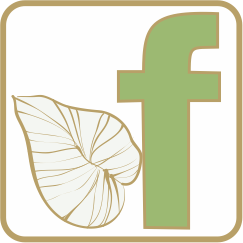 ”facebook”