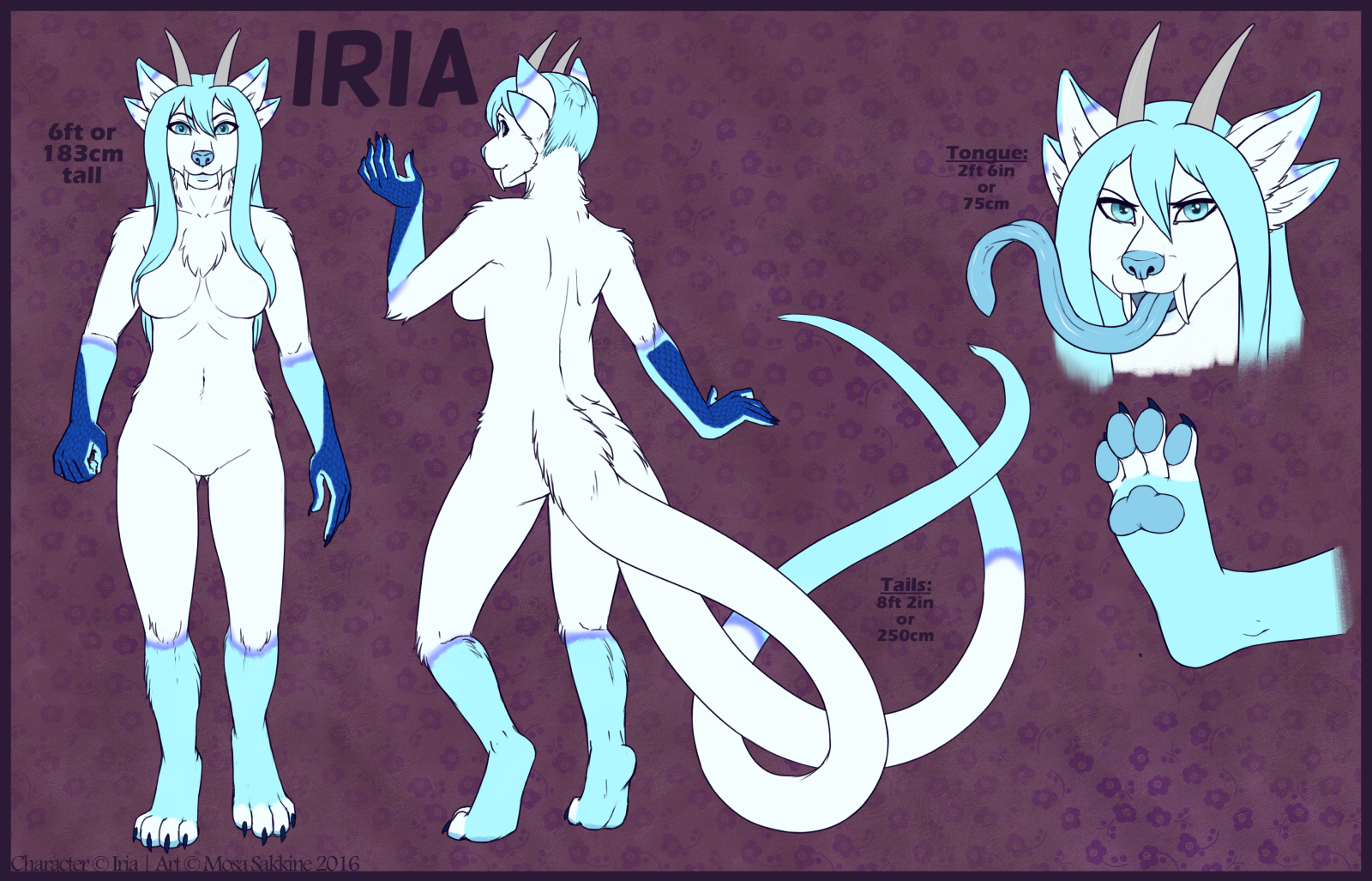 Character Reference Sheet Template