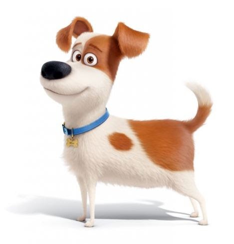 映画ペットの動物の種類まとめ 犬種や猫種と鳥やモルモットも調査 楽しいコーヒーライフとニュース