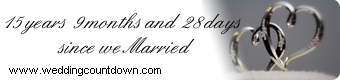 a wedding website
