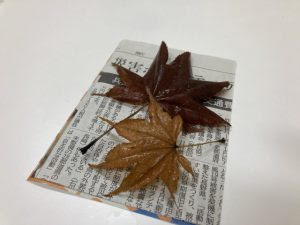 加西市立善防中学校 くすのき けやき 自立活動 先生やります編