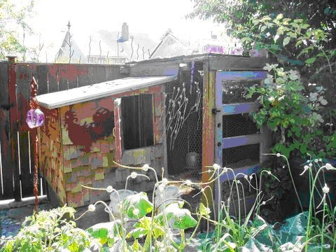 City Dwellers Flock to Raising Chickens | How to Raise Urban Chickens ...