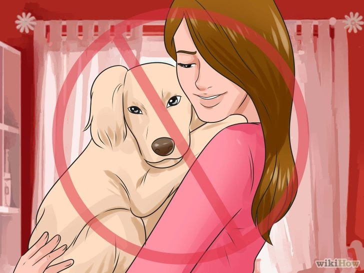 Get Rid of a Runny Nose Step 20.jpg