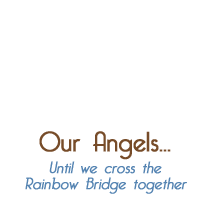 Our Angels