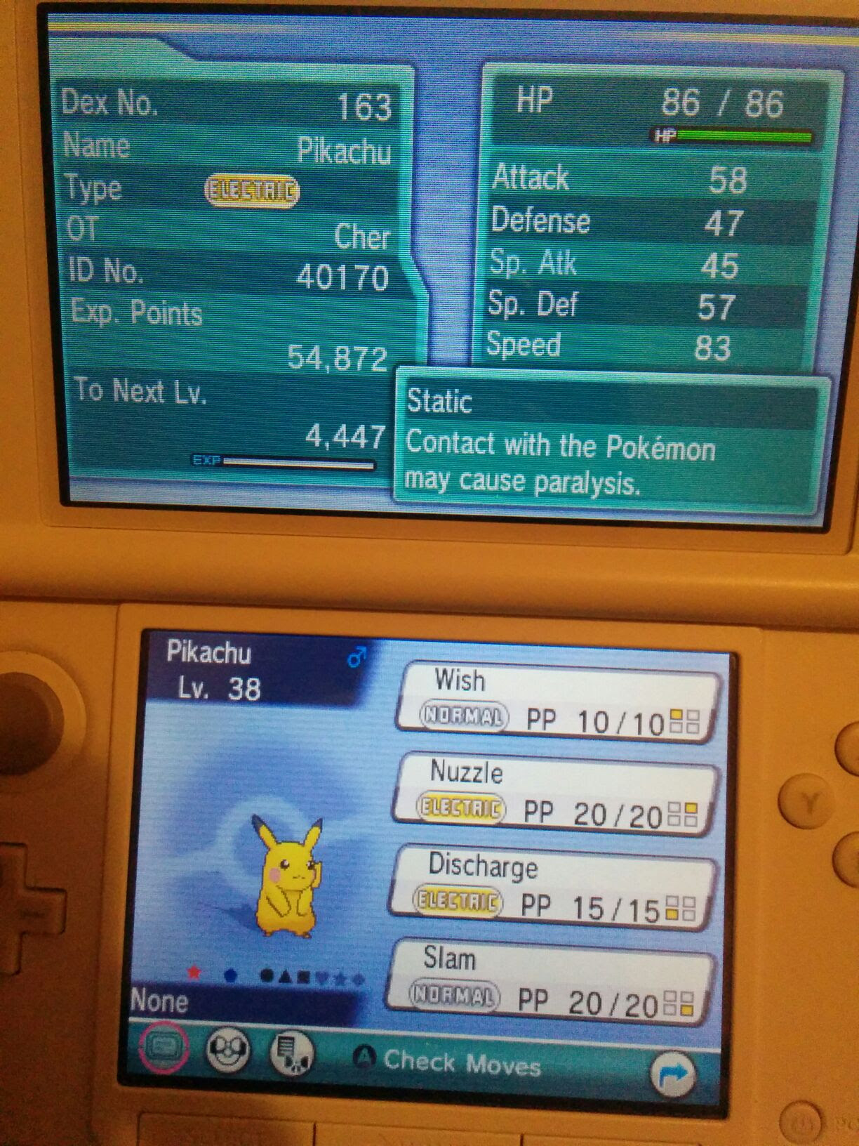 Nice Surprise When I Was Cruising Safari Zone In Oras Shinypokemon