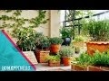 Garden Design Vegetables And Flowers