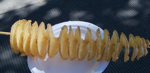 Taste of Edmonton 2011 by raise my voice