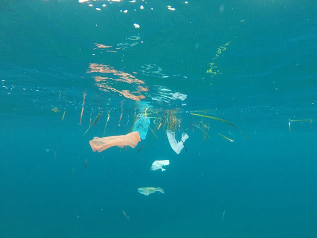 Laurent Lombard captured the rubbish floating just below the surface of the azure seas