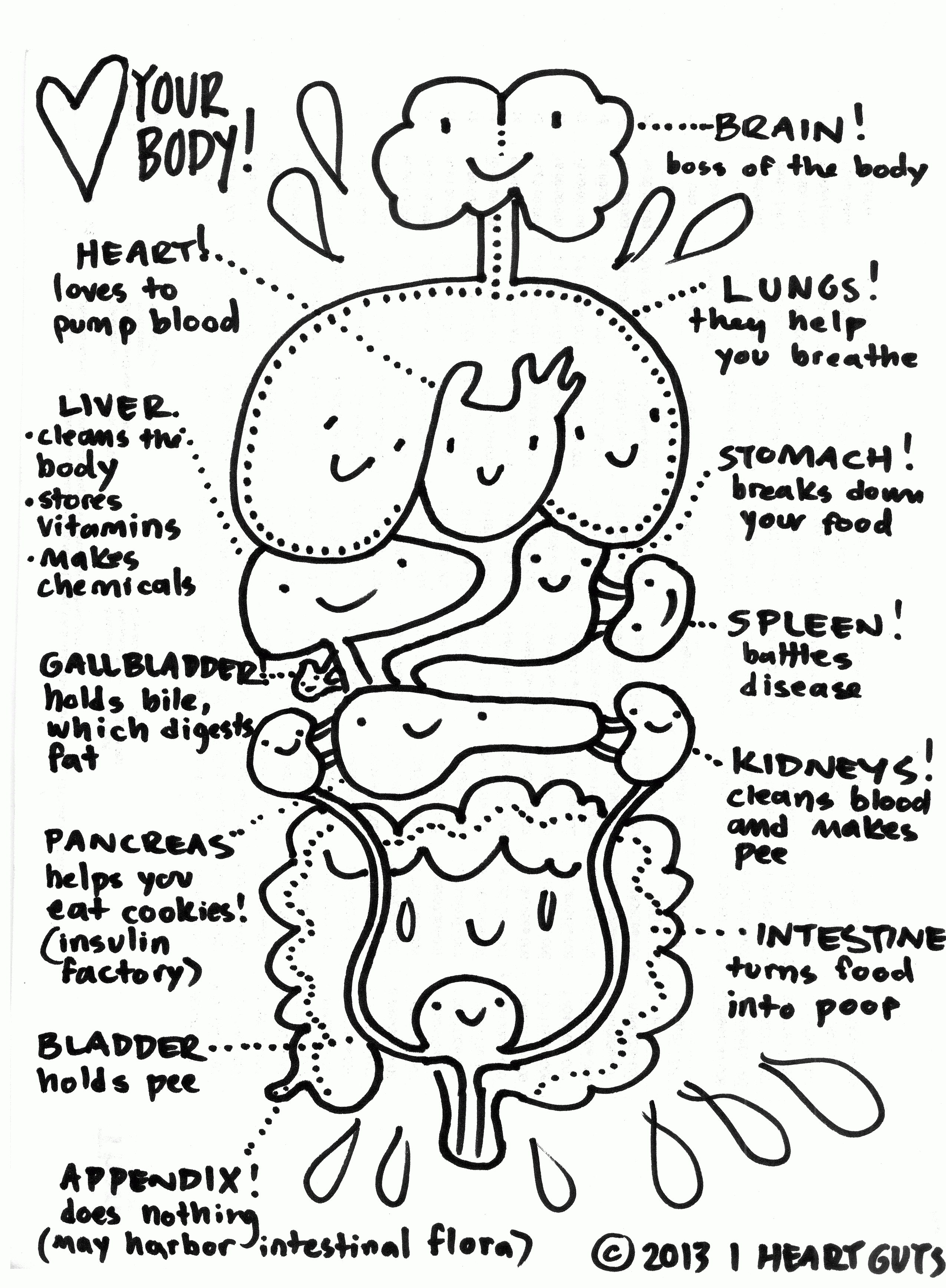 Download Human Body Systems Coloring Pages - Coloring Home