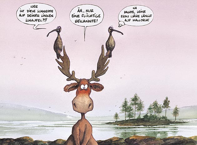 zum geburtstag besonderer mensch
