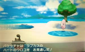 野生ポケモンの持ち物 アイテム 一覧表と稼ぎ方 ポケモンxy攻略de Com