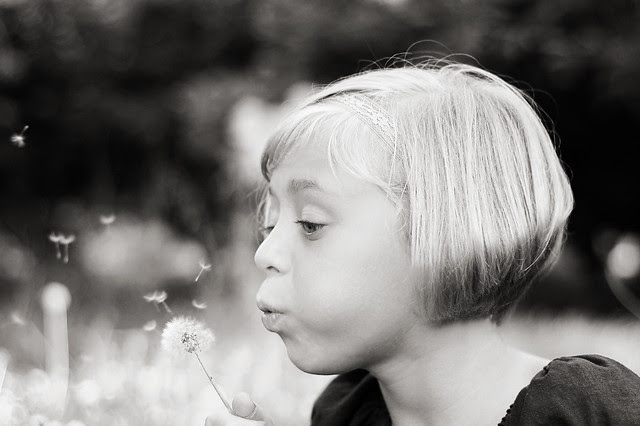 DSC_3498bw