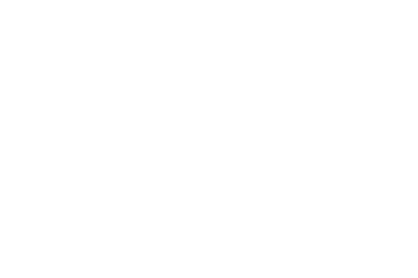 ライン レース素材専門サイト Da Lace ダ レース