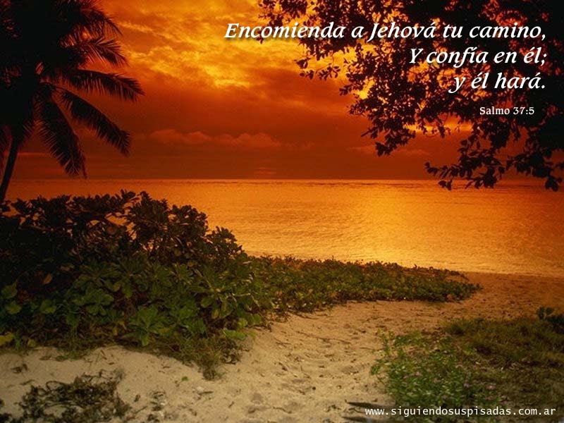 taringa wallpapers. Wallpapers con Versiculos