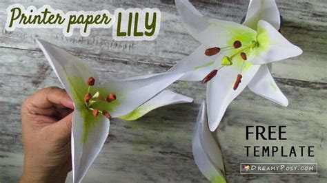  diy lily flower from printer paper free template so simple youtube