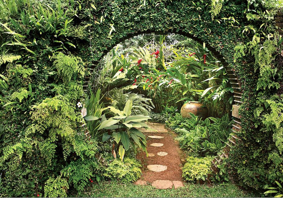 carex: garden design by carolyn mullet