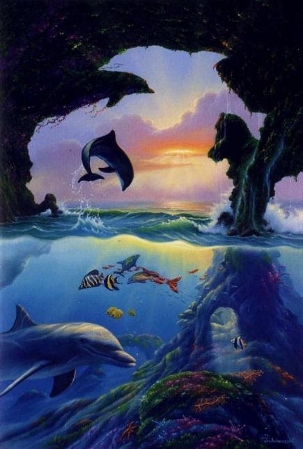 image of swiming dolphins