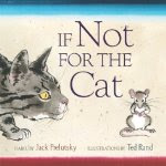 If Not for the Cat 