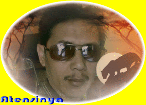 picasion.com