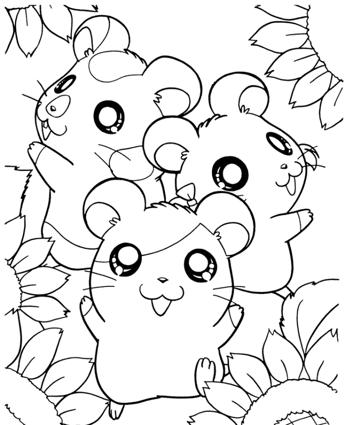 Hamster coloring pages to download and print for free
