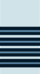 Group Captain of IAF.png