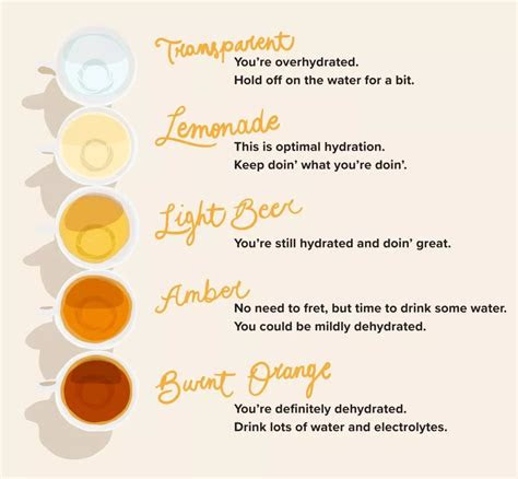 It can be all sorts of colors from pale yellow to dark amber and even green, pink or orange. what every color of your urine and frequent urination can tell you