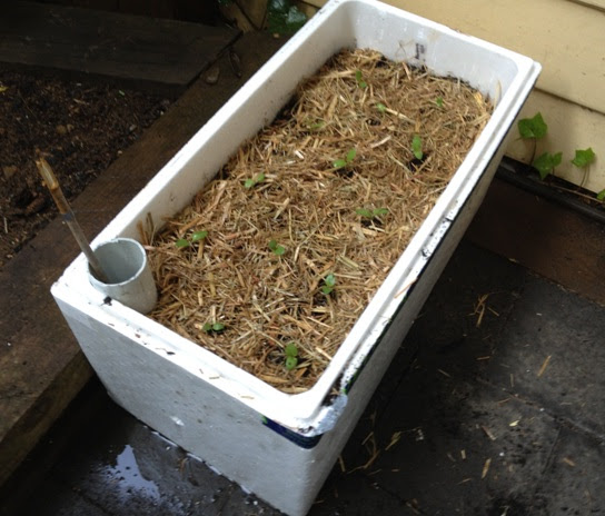 DIY Self Watering Planter Box The Handy Gardener