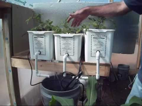Raised Beds, Early Hydroponics, &amp; Dutch Buckets - YouTube