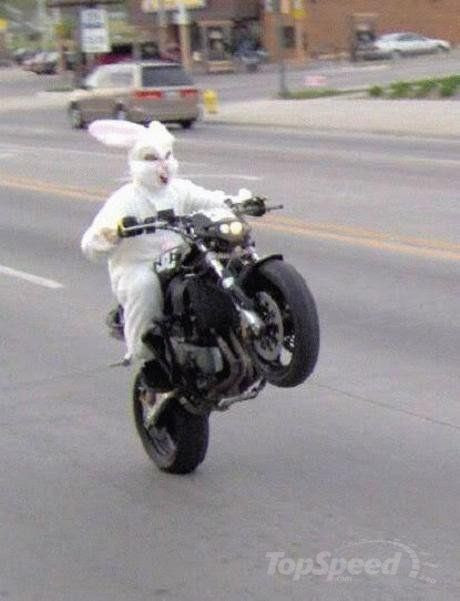 Easter bunny is crazy for wheelies