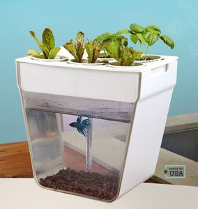 ... Herb Garden Self Cleaning Fish Tank Planter Aquaponics System | eBay