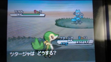 0以上 ポケモン ホワイト リオル サンジ 強さ