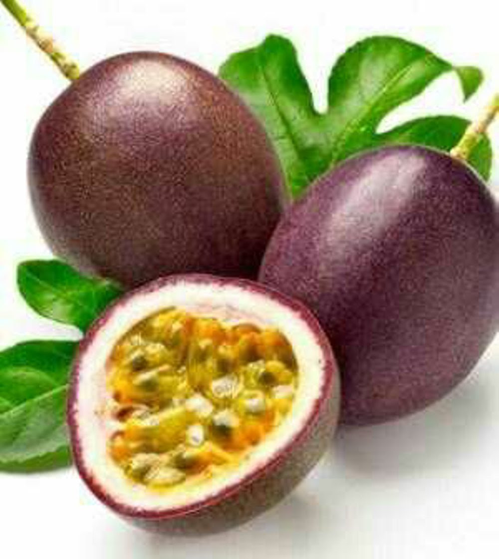 jenis markisa manis Jual Bibit tanaman dan Buah jenis markisa manis Jual Bibit tanaman dan Buah