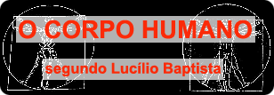 O Corpo Humano, segundo Lucílio Baptista