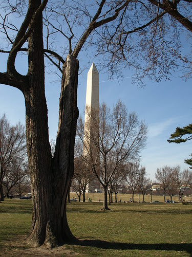 http://farm5.static.flickr.com/4025/4427557800_e6df02faa3.jpg