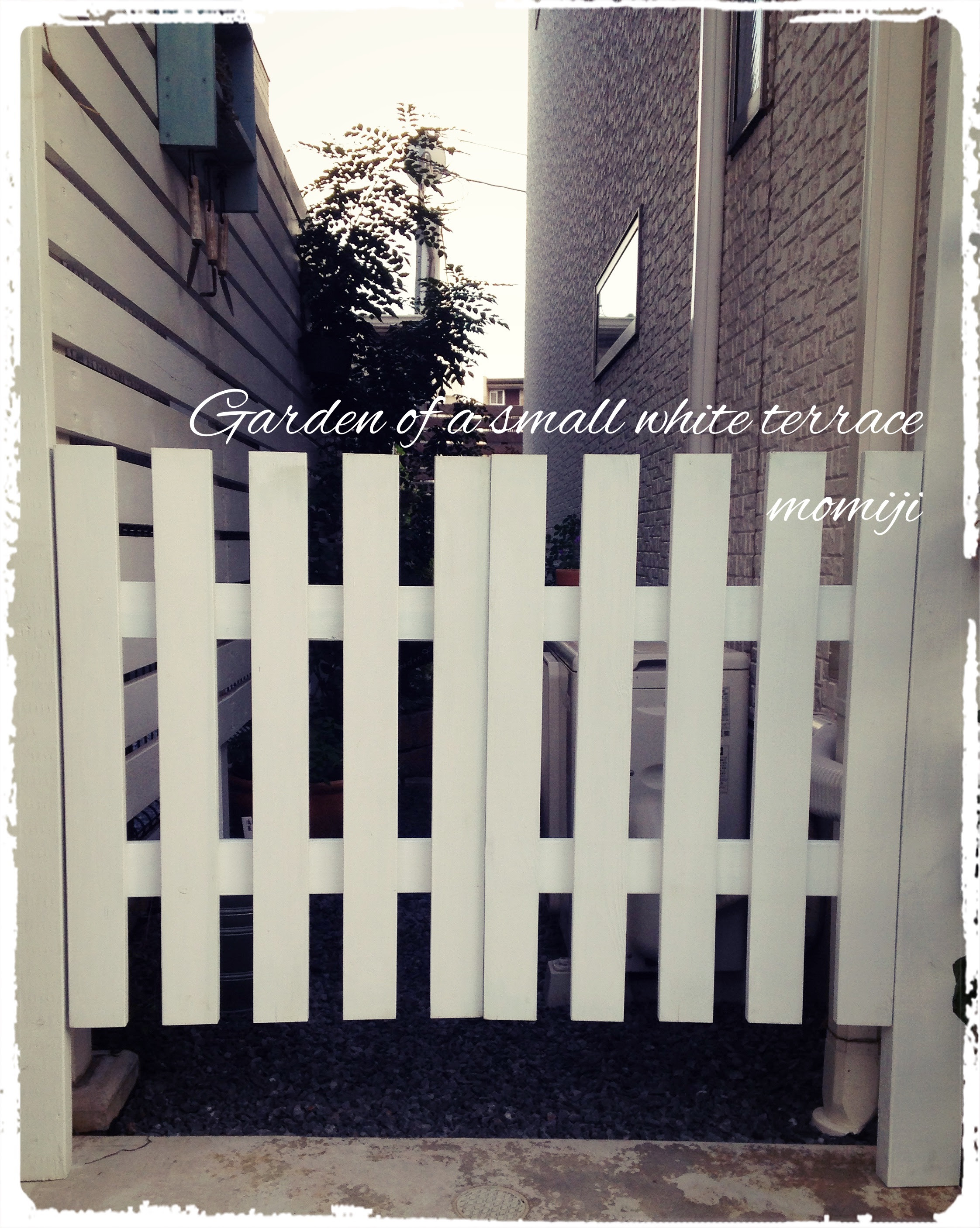 木製アーチに手作りゲートを設置 やっと完成しました ﾉ 小さな白いテラスの庭