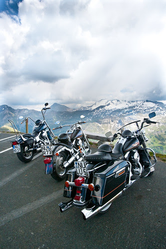 Harleys