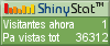 Audiencia web