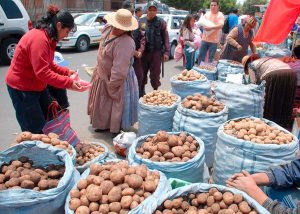 informatedebolivia.com