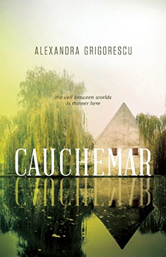Cauchemar, by Alexandra Grigorescu