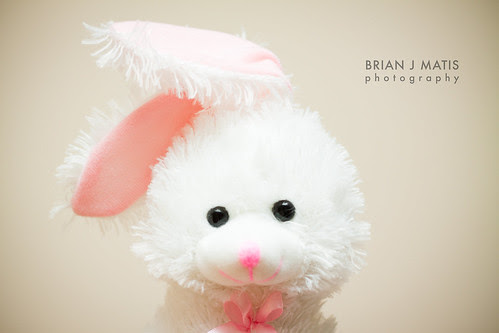stuffed toy animals