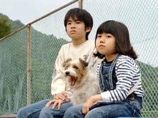 ジャックラッセルテリア 出演作品