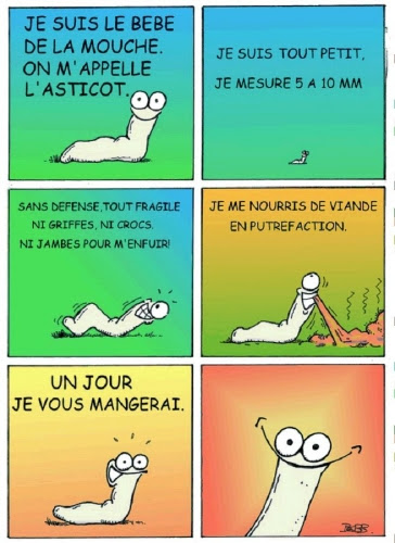 Il faut qu'on arrete les conneries