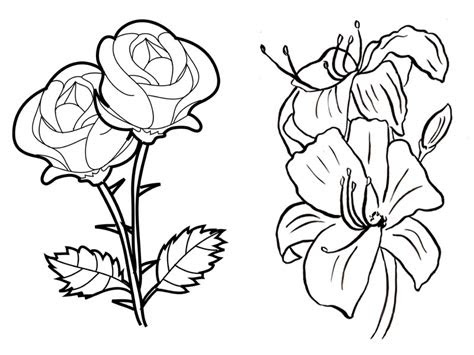  flower coloring pages 15 beautiful floral patterns