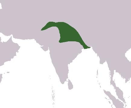 Delhi Sultanate -Destruction and desecration 